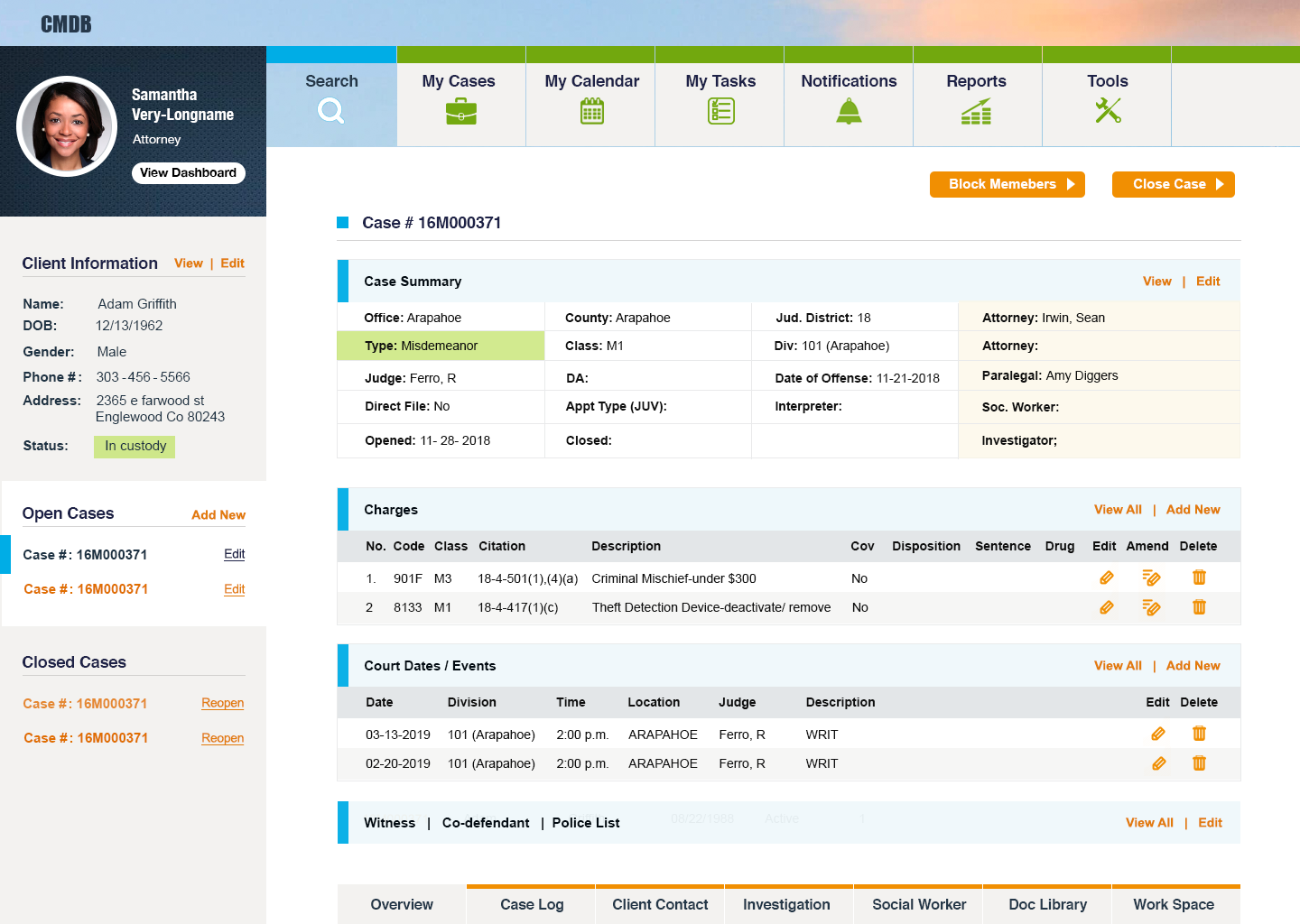 Case Management System User Interface Liu s Creations