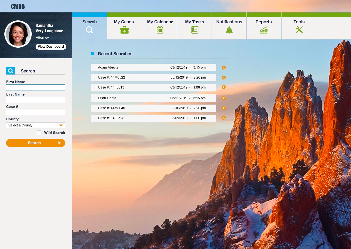 Case Management System User Interface project image 2