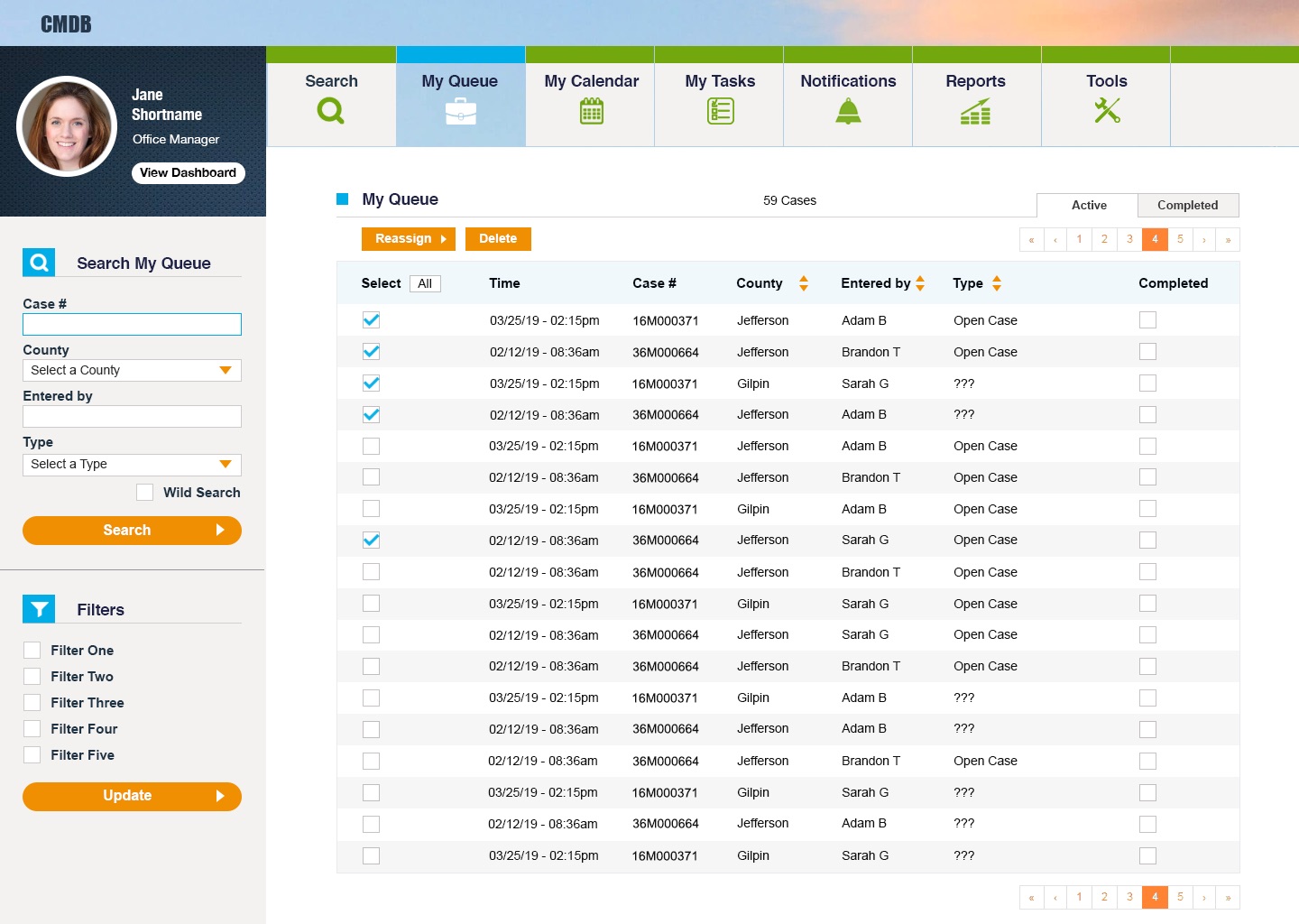 Case Management System interface